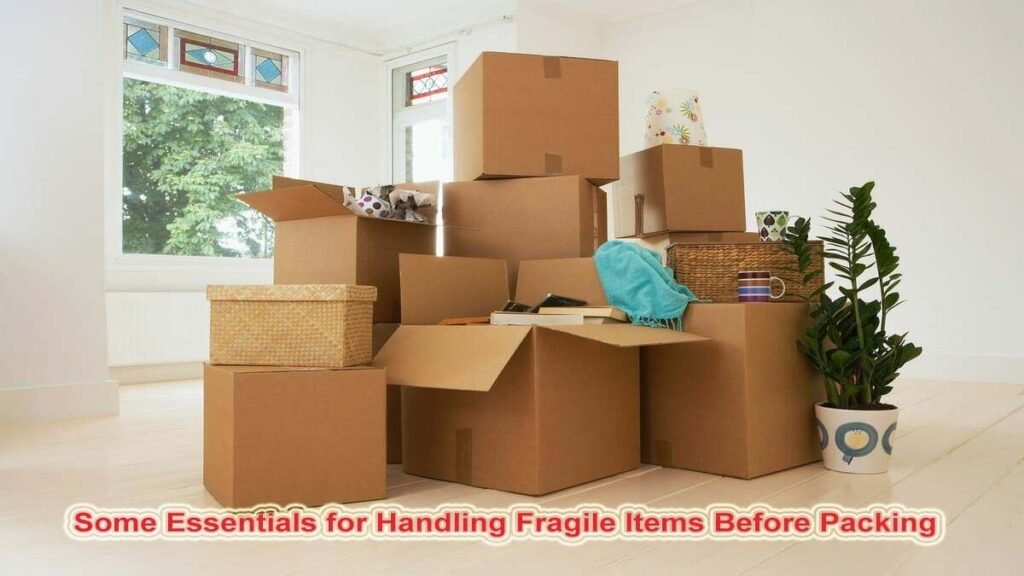 Professional Packing and Moving Company